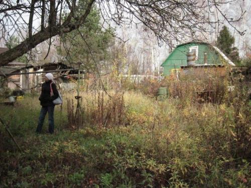 Жалоба на заброшенный участок. Законные способы борьбы с соседским участком, который зарос бурьяном
