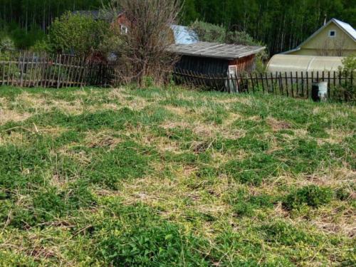 Присоединить заброшенный участок. Полный список вариантов увеличить свой дачный участок за счет прилегающих земель