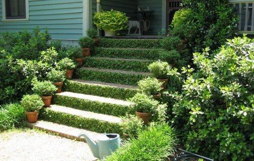 Винтовая лестница на улице. Предназначение уличных лестниц