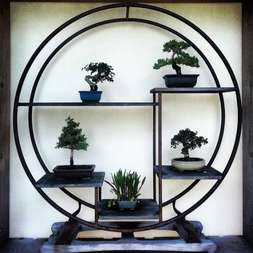 Cтеллажи круглой формы 02