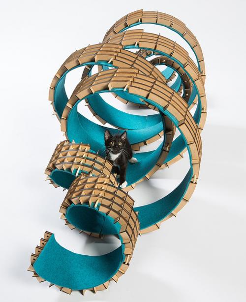 Котики останутся довольны 01