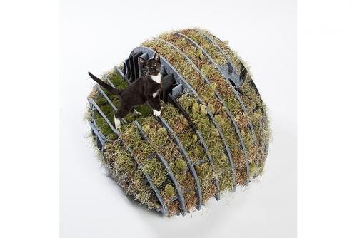 Котики останутся довольны 03