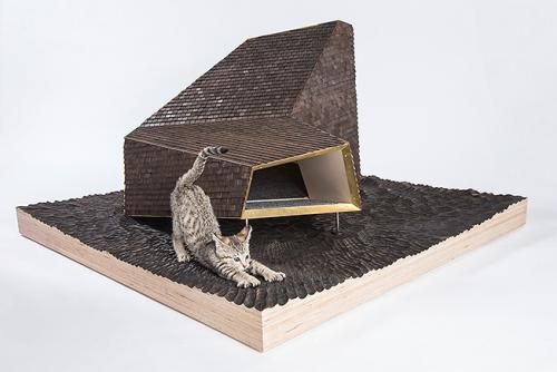 Котики останутся довольны 02