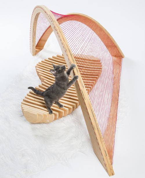 Котики останутся довольны 05