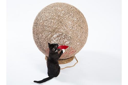 Котики останутся довольны 04