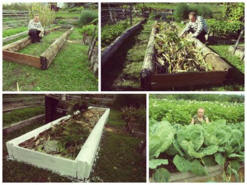 Высокие грядки Игоря Лядова. Грядки-короба за 9 шагов от Игоря Лядова | Высокие грядки