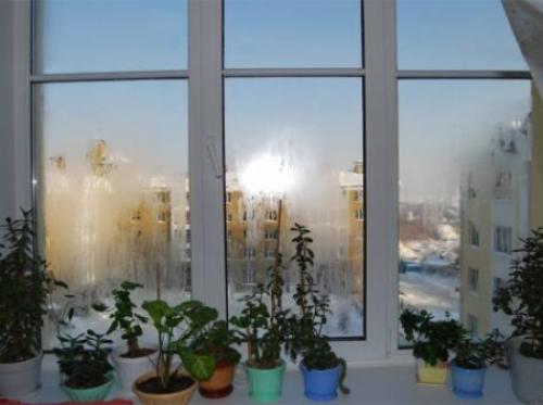 Потеют окна в квартире народные средства. Средство от запотевания окон в доме