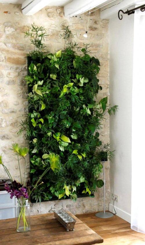 Стильные растения для дома. Вертикальное озеленение — новомодные тенденции дизайна
