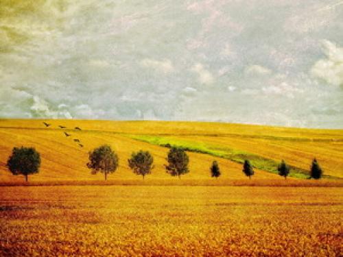 Какая бывает ширина обоев. Стандартные размеры 14