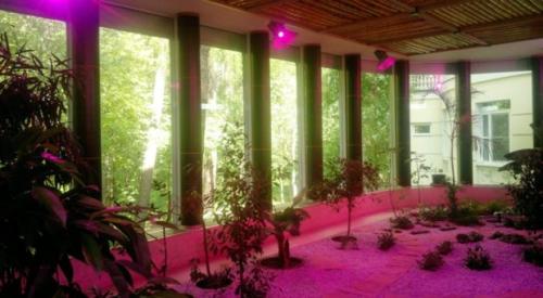 Зимние сады в частных домах. №9. Система освещения зимнего сада