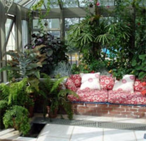 Растения для зимнего сада