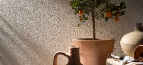 Как покрасить ровно стены. 10 хитростей, чтобы краска легла на стены идеально ровно 06