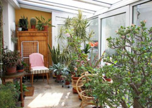 Растения для зимнего сада