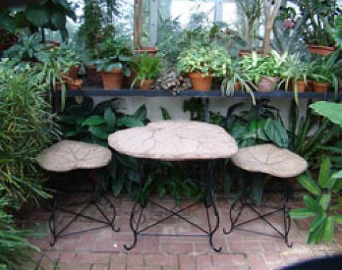 Растения для зимнего сада