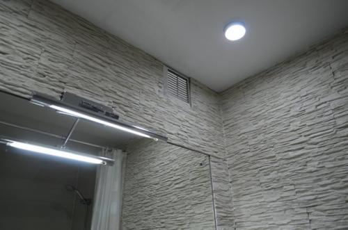 Отделка ванной комнаты камнем. Отделка ванной комнаты декоративным камнем 20