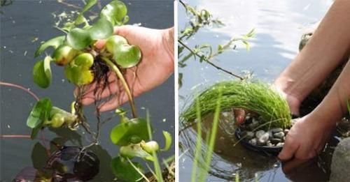 Как подготовить к зиме пластиковый пруд. создаем условия для зимовки растений и обитателей водоема