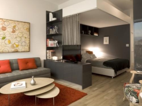 Как обустроить спальню и гостиную в одной комнате. Плюсы и минусы совмещения гостиной и спальни 05