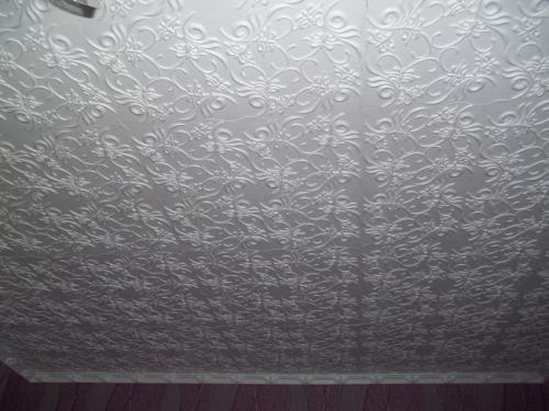 Стеновые панели на потолок. Обзор видов и моделей панелей для потолка