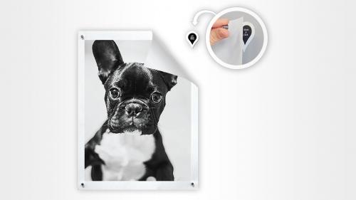 Расположение постеров на стене. Как расположить постеры и картины, если стены нельзя сверлить?