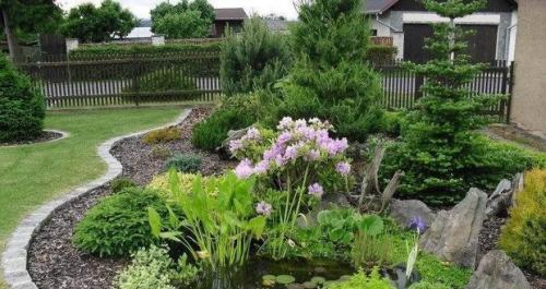 Сад для ленивых своими руками. 7 секретов сада, за которым легко ухаживать