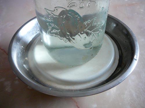 Как засолить быстро рыбу в домашних условиях. Рыба с луком 26