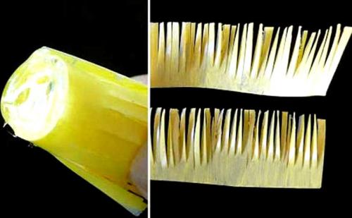 Поделки из пластиковых бутылок цветы своими руками. 7 способов научиться делать цветы из пластиковых бутылок своими руками