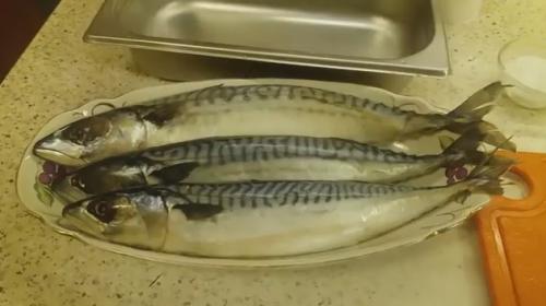 Как засолить скумбрию. Солим свежемороженную скумбрию в рассоле
