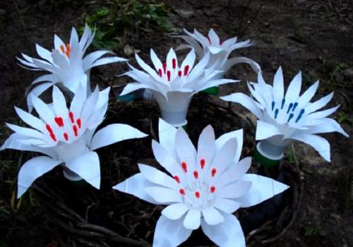 Поделки из пластиковых бутылок цветы своими руками. 7 способов научиться делать цветы из пластиковых бутылок своими руками