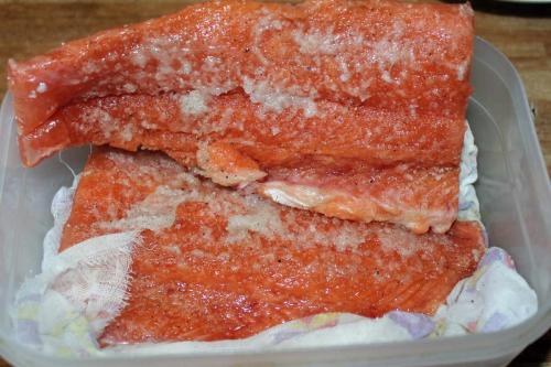 Засолить красную рыбу в масле. Красная рыба сухого посола