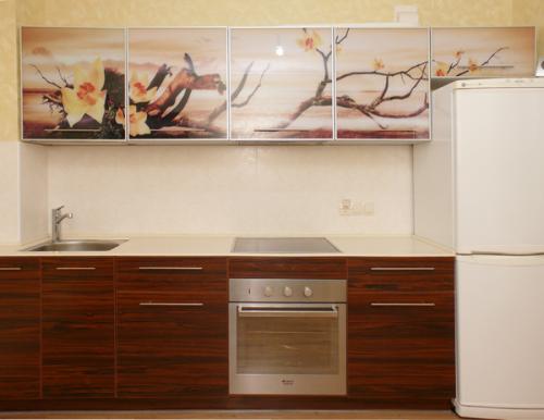 Кухня с алюминиевым профилем. Что нужно знать о фасадах для кухни в алюминиевой рамке 12 Кухня с алюминиевым профилем. Что нужно знать о фасадах для кухни в алюминиевой рамке 12