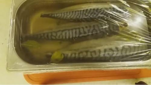 Как засолить скумбрию. Солим свежемороженную скумбрию в рассоле