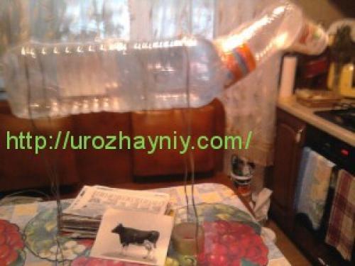 Корова из пластиковых бутылок своими руками. Бычок из пластиковой бутылки. Автор Ольга Короннова