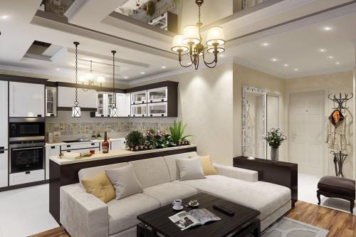 Планировка гостиной кухни в частном доме. Интерьер кухни-гостиной 20 кв.м