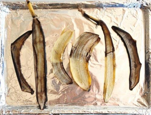Польза банановой кожуры для растений. Свойства удобрений из кожуры банана