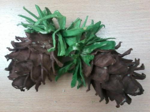 Из яичной коробки поделка. 29 октября. Выставка поделок из яичных лотков на МААМ