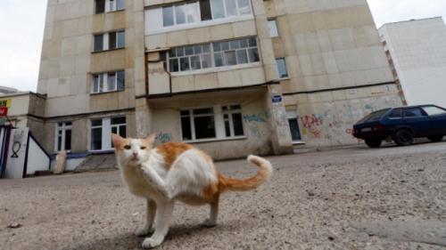 Жильцы 1 3 этажей имеют право не оплачивать услугу пользования лифтом. Жильцам первых этажей разрешат не платить за пользование лифтом