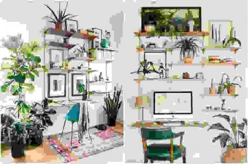 Комнатные цветы в интерьере. Виды озеленения 06 Комнатные цветы в интерьере. Виды озеленения 06