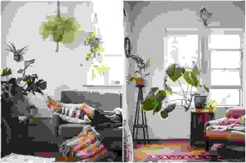 Комнатные цветы в интерьере. Виды озеленения 04 Комнатные цветы в интерьере. Виды озеленения 04