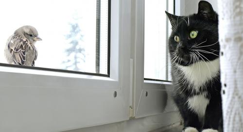 Утепление лоджии с чего начать.  Разберитесь с азами 18