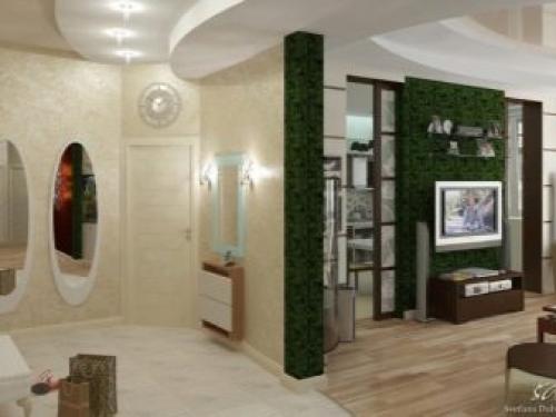 Дизайн гостиной совмещенной с прихожей. Прихожая (холл) совмещённая с гостиной, как выделить входную зону 05