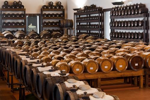 Уксус бальзамический из Модены. Настоящий бальзамический уксус из Модены 03