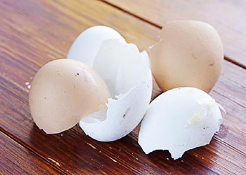 Скорлупа фисташек применение. Скорлупа от фисташек применение в огороде