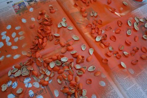 Из скорлупы фисташек поделки. Поделки из фисташек – 7 простых идей 14