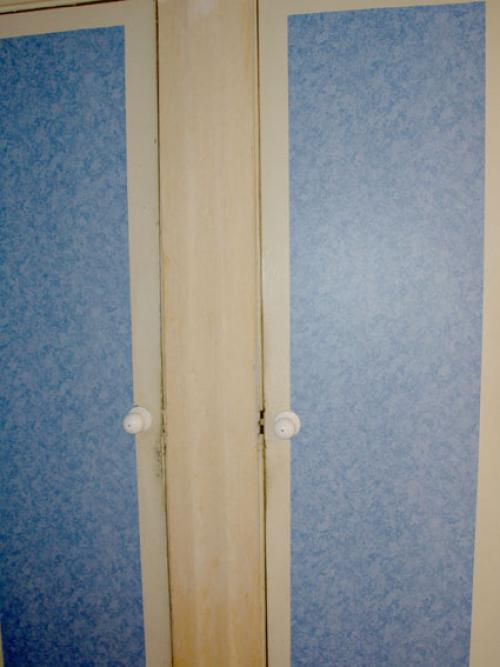 Декор стен из яичных лотков. Стена из яичной упаковки