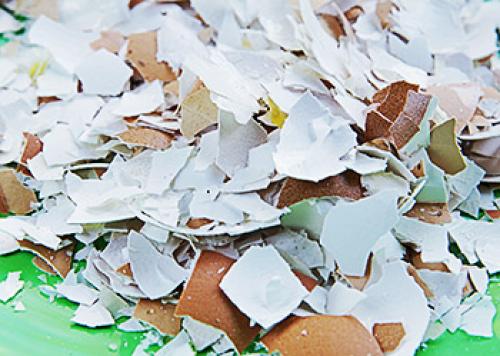 Скорлупа фисташек применение. Скорлупа от фисташек применение в огороде