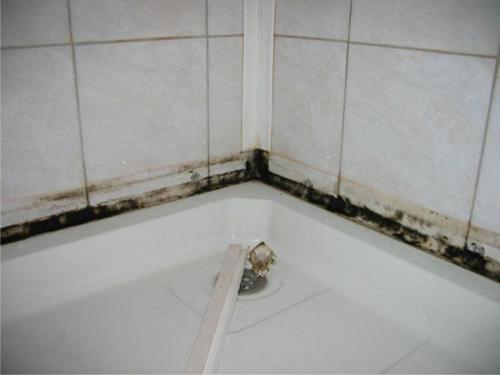 Как избавиться от черной плесени на стенах. Плесень, грибок на стенах в квартире: чем опасна плесень и как от нее избавиться - 7 эффективных способа