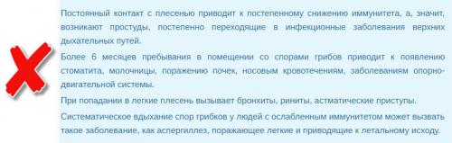Как избавиться от черной плесени на стенах. Плесень, грибок на стенах в квартире: чем опасна плесень и как от нее избавиться - 7 эффективных способа