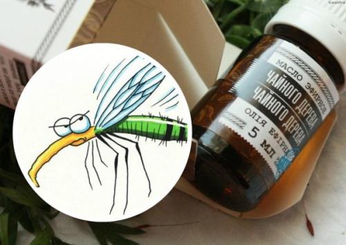 Как избавиться от плесени на мебели. Как избавиться от плесени в мебельной стенке? 05