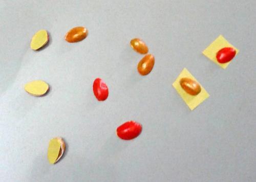 Из скорлупы фисташек поделки. Поделки из фисташек – 7 простых идей 16