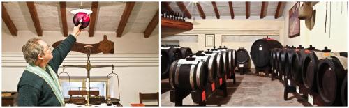 Уксус бальзамический из Модены. Настоящий бальзамический уксус из Модены 09